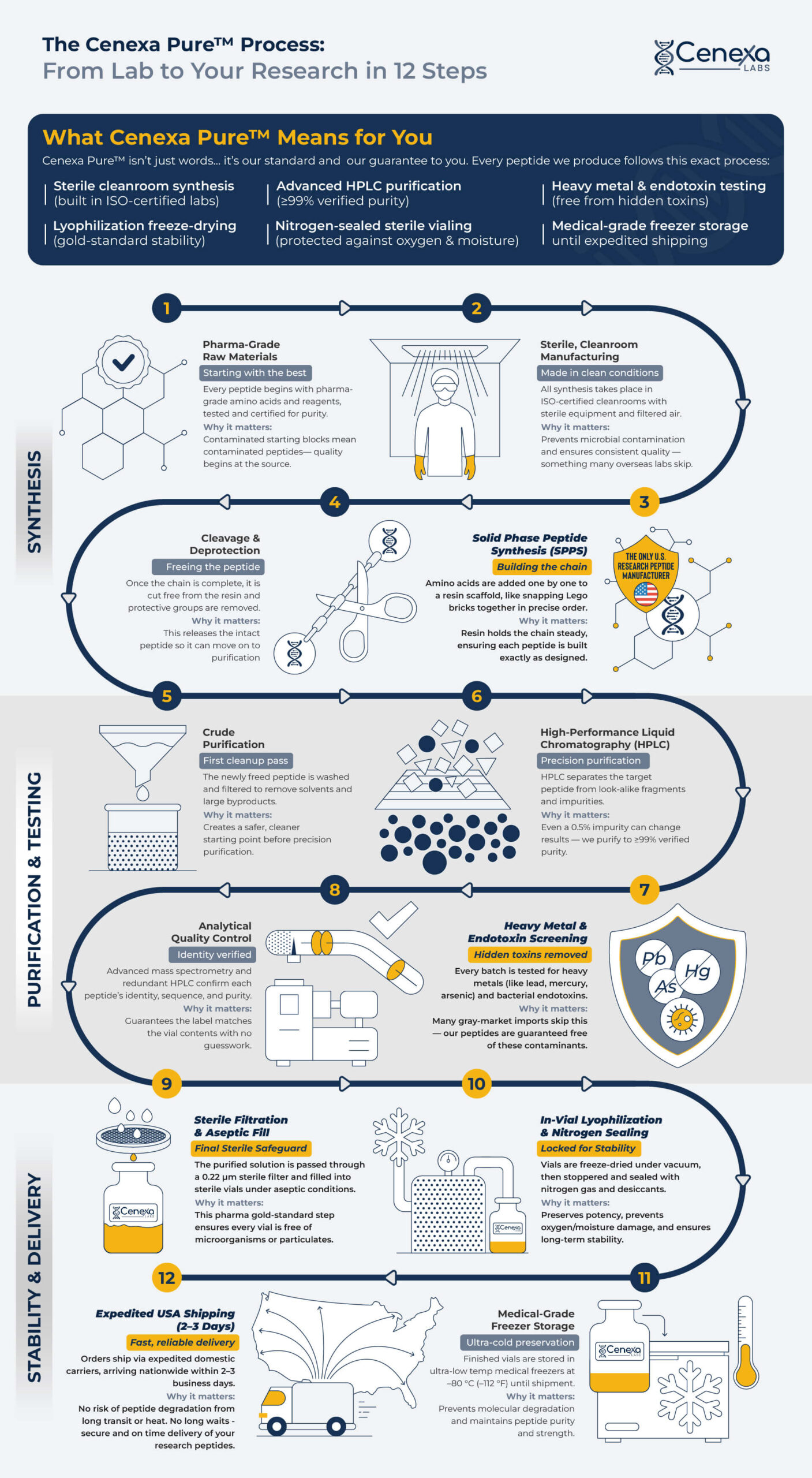 Cenexa Pure™ 12-Step USA Peptide Manufacturing Process: full overview infographic covering pharma-grade synthesis, HPLC purification, sterile filtration, and domestic shipping