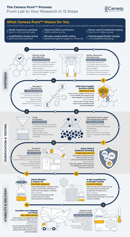 Cenexa Pure™ 12-Step USA Peptide Manufacturing Process: full overview infographic covering pharma-grade synthesis, HPLC purification, sterile filtration, and domestic shipping